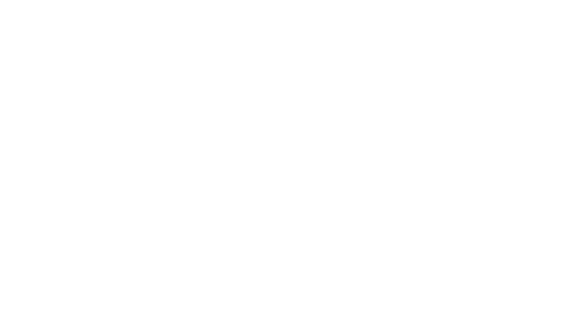 Program: Firealpaca