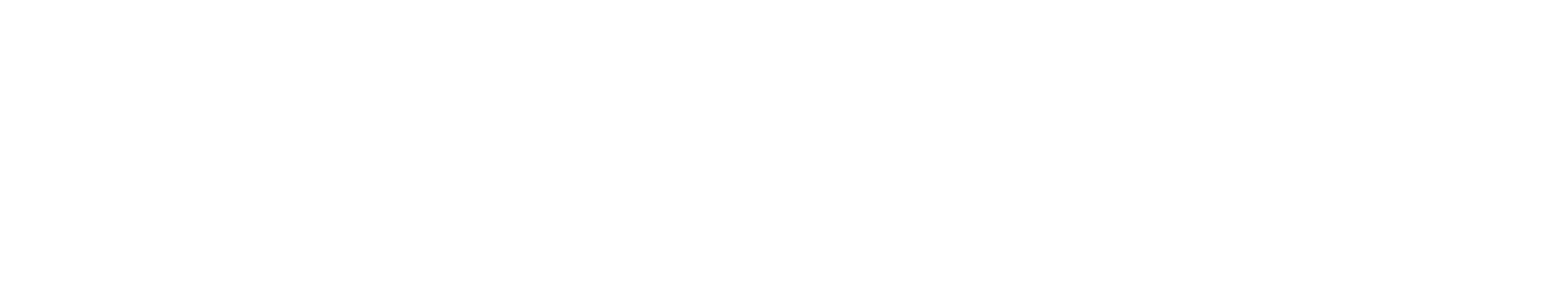 Program: Illustrator